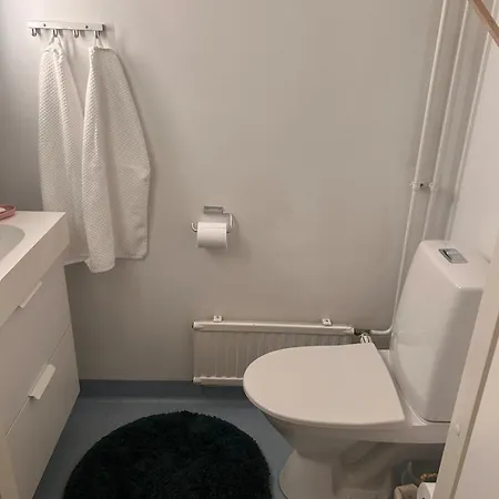 Cozy Two-bedroom With Sauna In The Center Of *